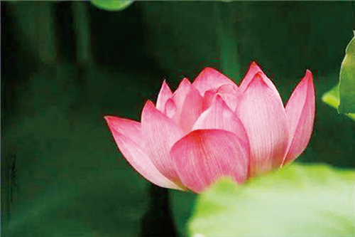 1616115859440075.jpg 四版1.jpg