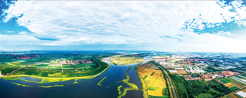 沽河两岸  摄影 王子光.jpg