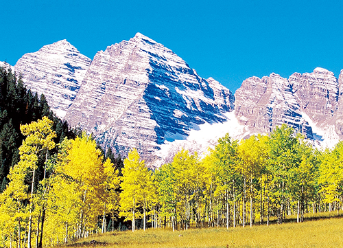 1616718600218112.jpg 8129528_152908694000_2.jpg