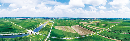 沽河高标准农田  摄影 张言哲_看图王.jpg