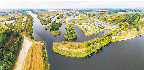 湿地如画  摄影 张言哲_看图王.jpg