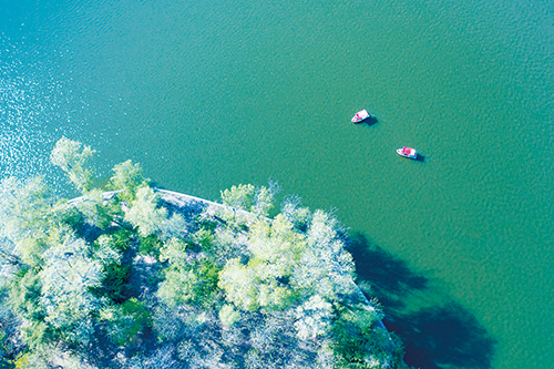 月湖荡舟 网友85aa29580e.jpg