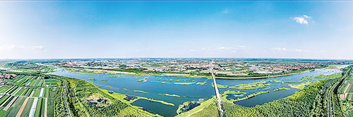 沽河风韵 李顺华摄 （作者系市摄影家协会会员）.jpg