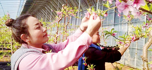 1644540270146853.jpg 三版6.jpg