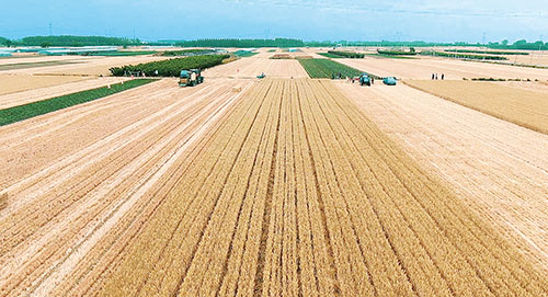 微信图片_20220614101909 (1).jpg