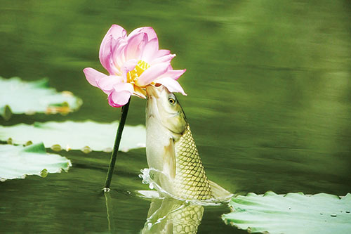 1665707927985242.jpg 4图片.jpg