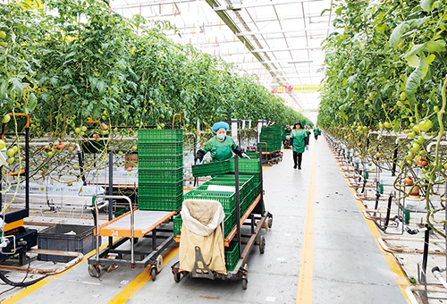 1672364689789908.jpg 凯盛浩丰.jpg