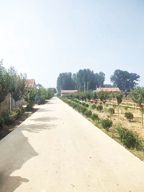 夏格庄镇 街道.jpg