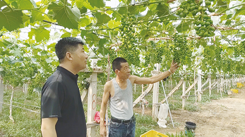 1688689444277919.jpg 2版-2.jpg