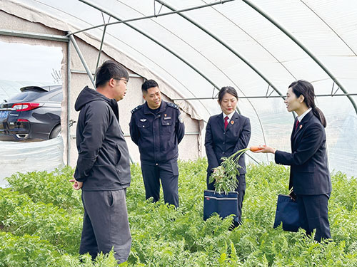 检察院—对制售伪劣种子案进行实地走访.jpg