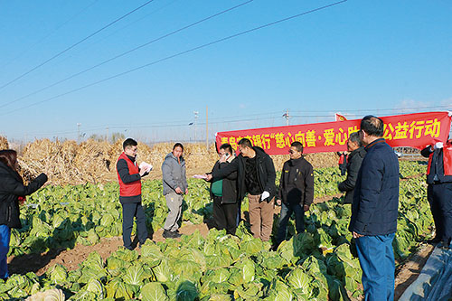 农商行 青岛农商银行莱西支行爱心助农活动.jpg