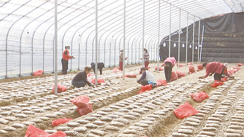 1733359295601232.jpg 2.jpg