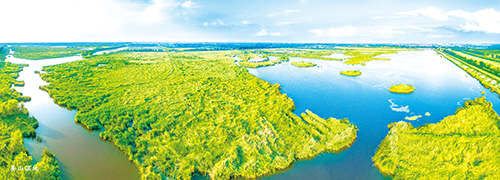 1733965554150180.jpg 304.jpg