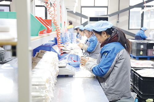 1735260393701036.jpg 13.jpg