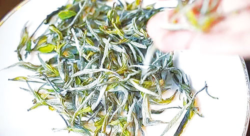 1740038006628183.jpg 402.jpg