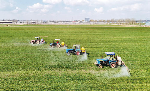 1742867762712048.jpg 3.脱粒机2.jpg