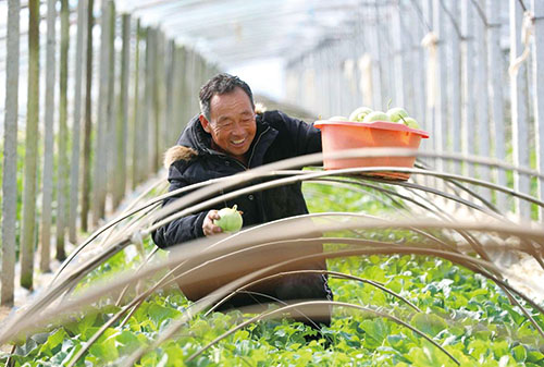 1744936975304407.jpg 3版图1.jpg