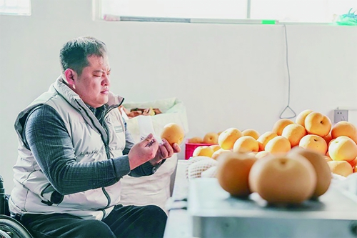 1749177111129634.jpg 302赵云超查看秋月梨的质量。.jpg