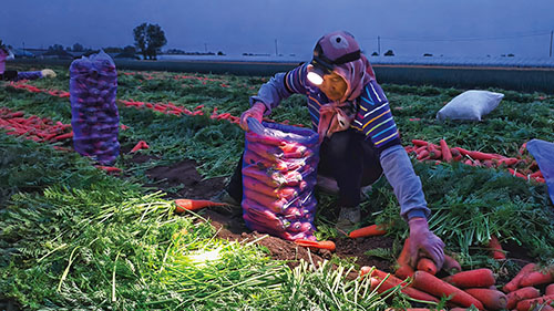 1749689505978803.jpg 3-3.jpg