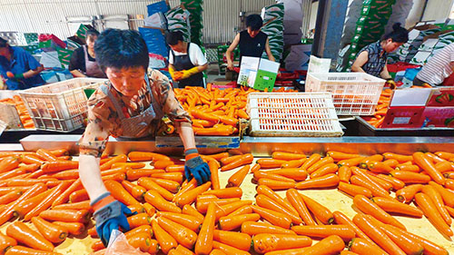 1749689520657775.jpg 3-2.jpg