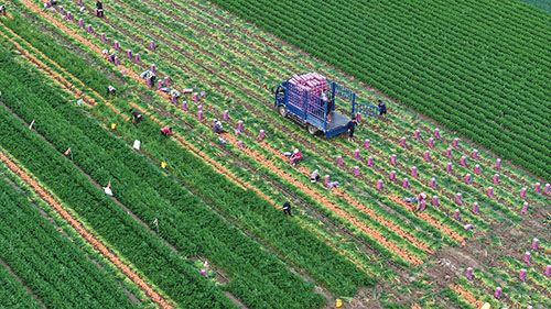 1749689543296701.jpg 3-1.jpg