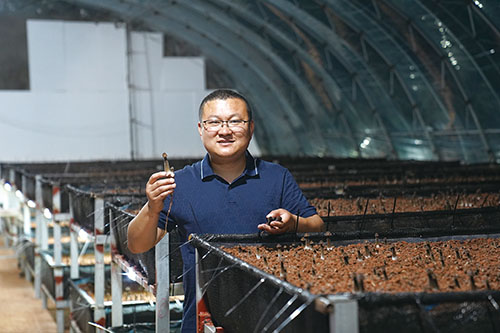 1749778192334198.jpg 33.jpg